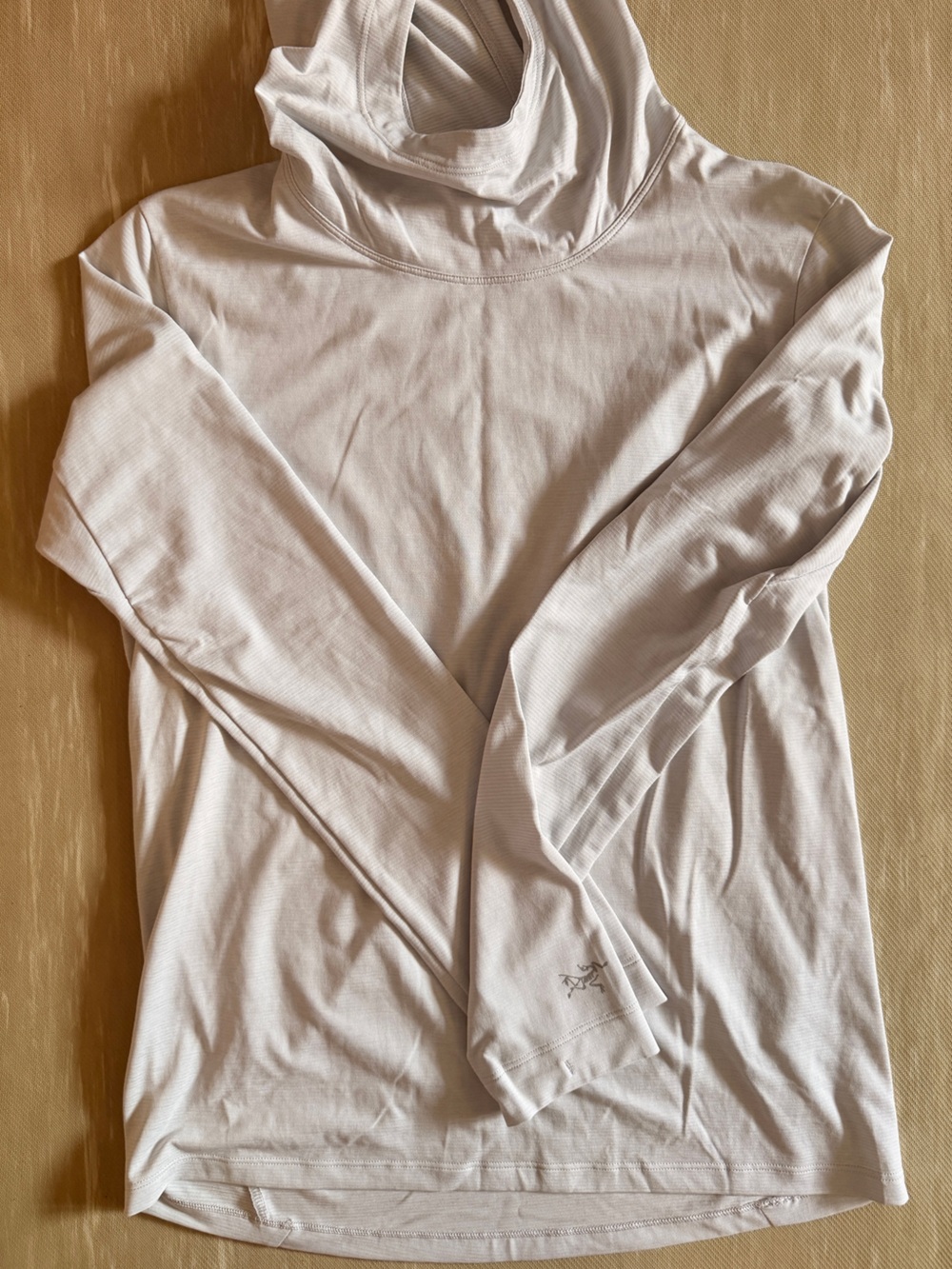 Arc’teryx Taema Hoody XS